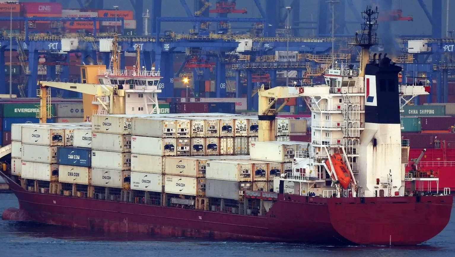 CoNTAINER LILA CANADA