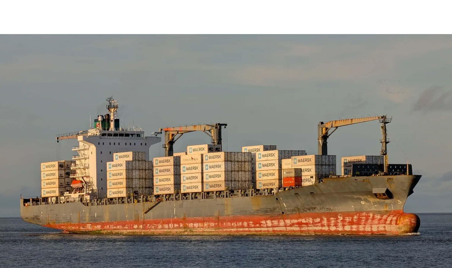 CoNTAINER MARGARETE SCHULTE