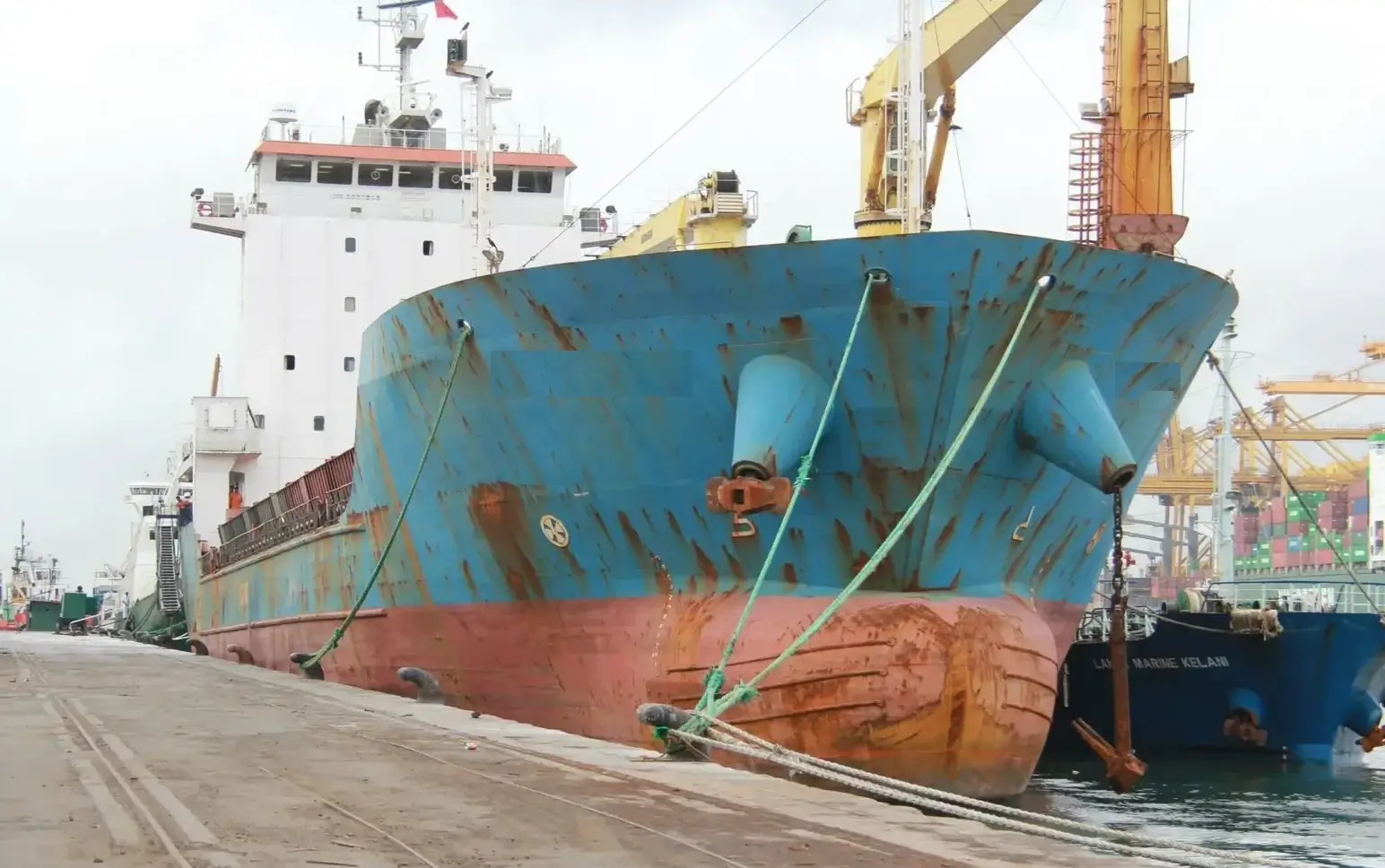 CoNTAINER SALLY FORTUNE