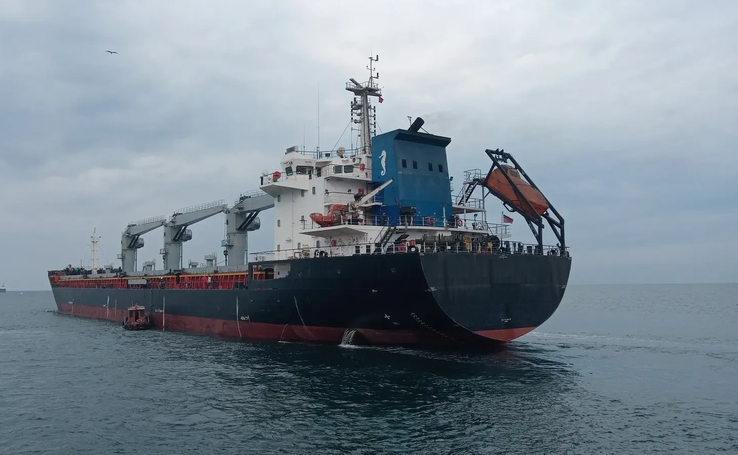 M/V ADAMAR