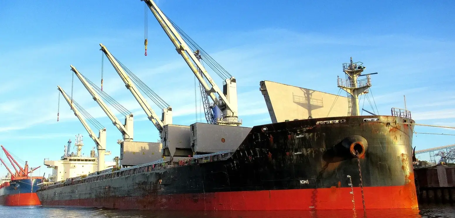 M/V INTERLINK FORTUITY