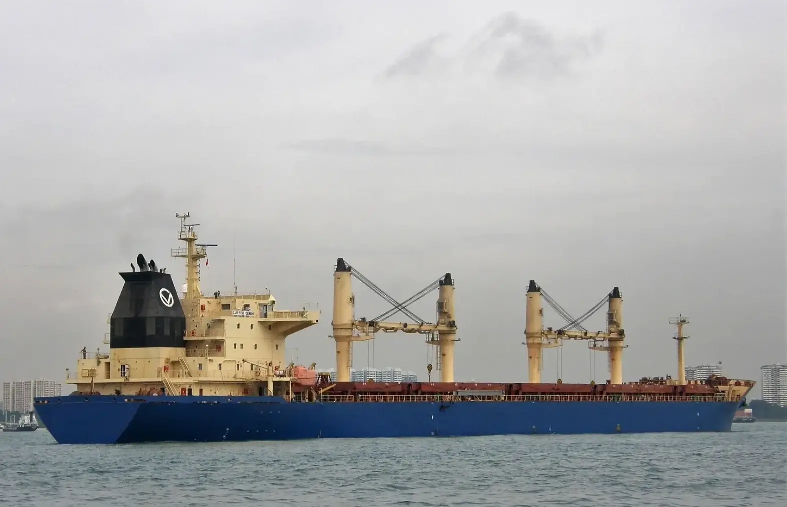 Bulk Carriers ship M/V ONE PEACE
