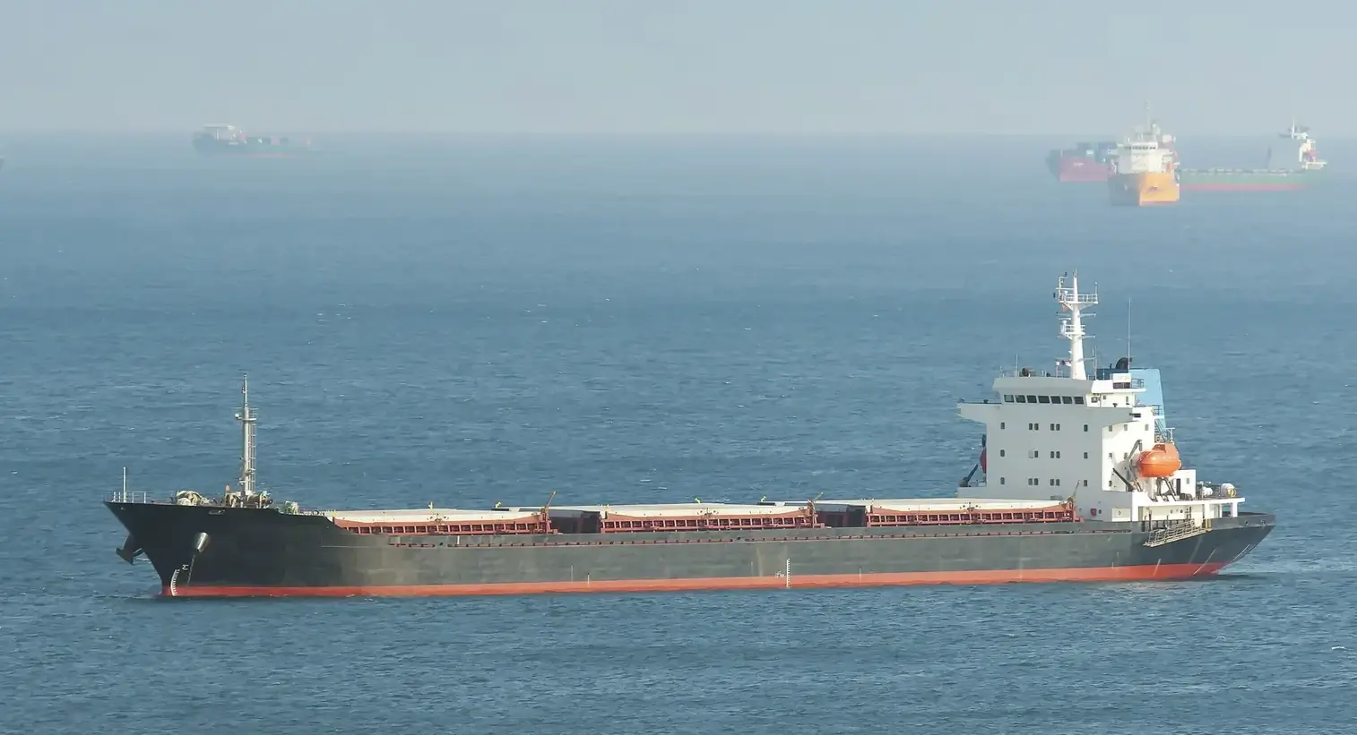 Bulk Carriers ship M/V ORANGE LINK