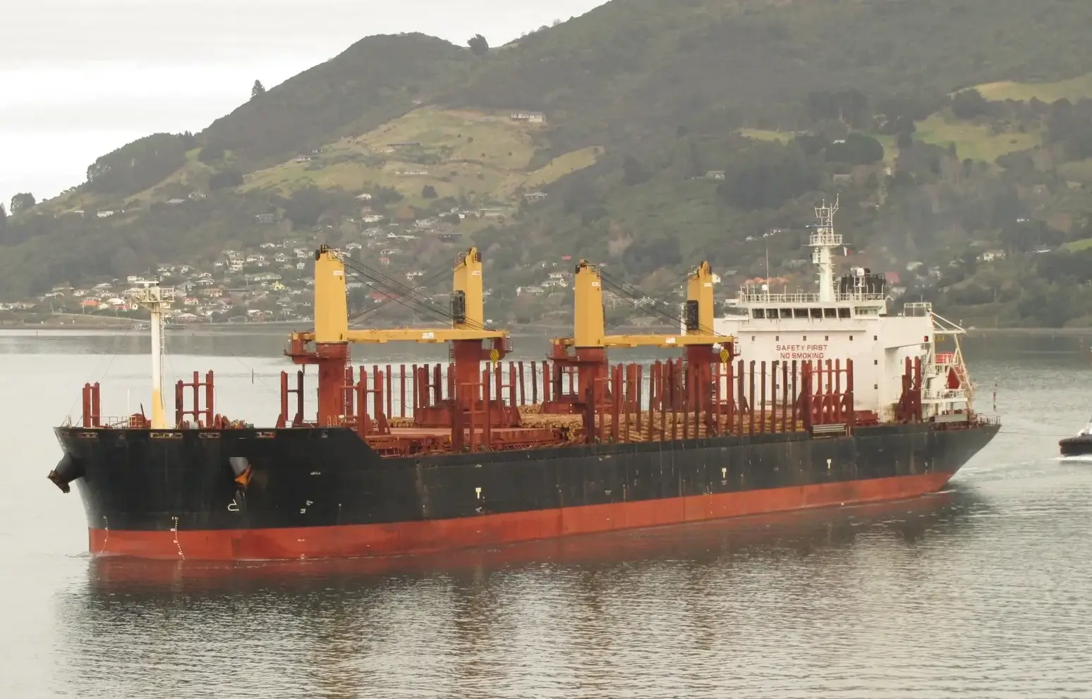 Bulk Carriers ship M/V PATIENCE LAKE