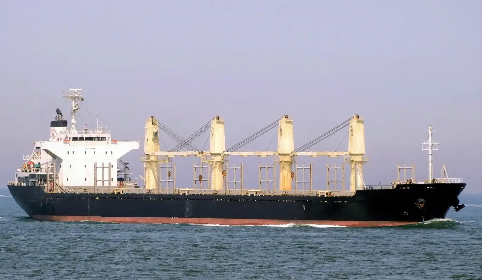 Bulk Carriers ship M/V POAVOSA WISDOM