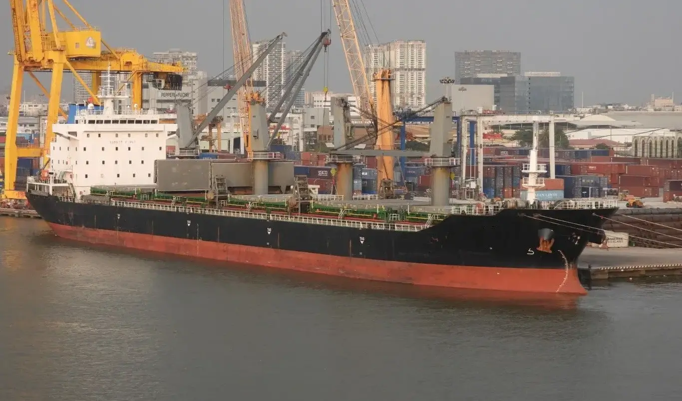 Bulk Carriers ship M/V QI CHENG 3