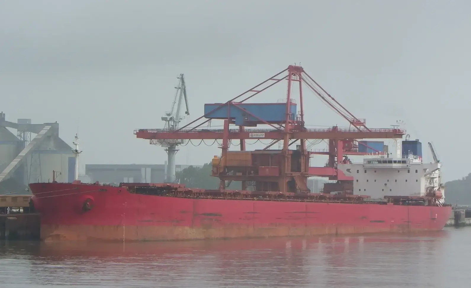 Bulk Carriers ship M/V RUI TIGER