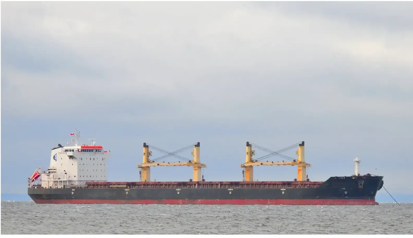 Bulk Carriers ship M/V SPAR CANIS