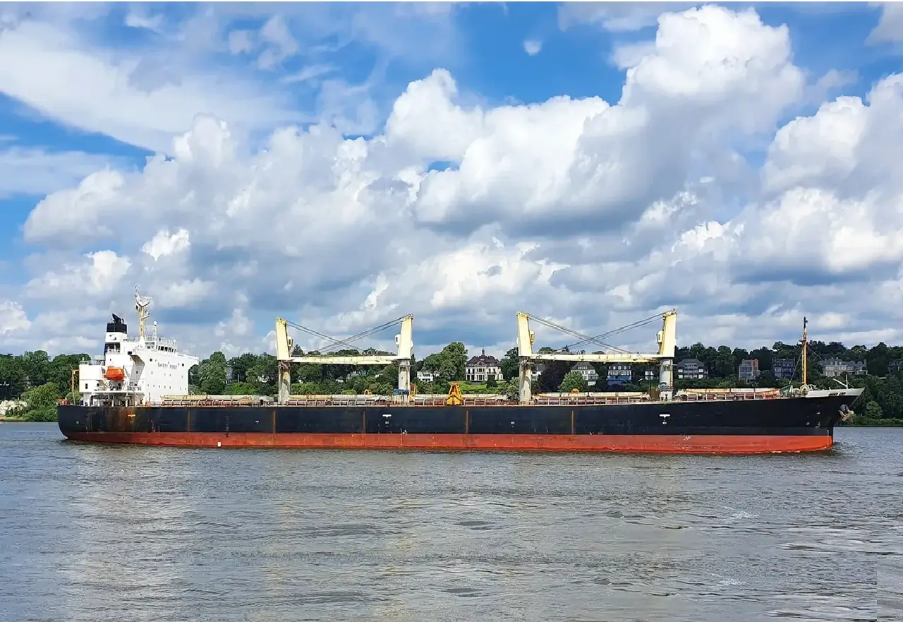 Bulk Carriers ship M/V SSI AVENGER
