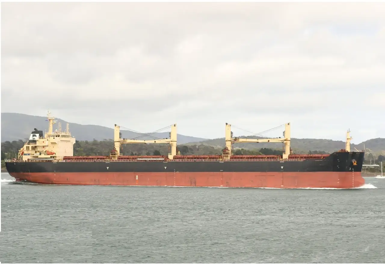 Bulk Carriers ship M/V STAR CLEO
